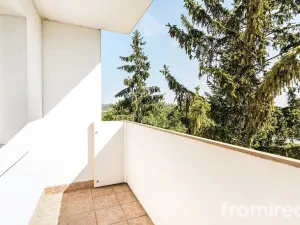 Prodej bytu 3+1, Brno, Provazníkova, 52 m2