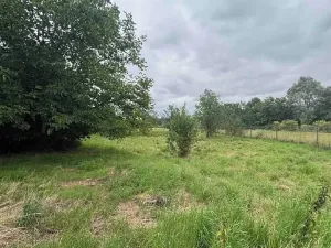Prodej pozemku pro bydlení, Všejany, 1705 m2