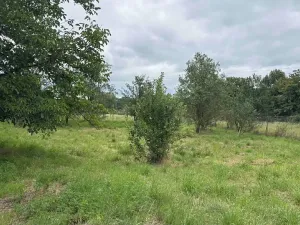 Prodej pozemku pro bydlení, Všejany, 1705 m2