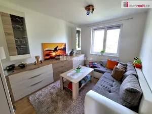 Prodej bytu 3+1, Stříbro, Na Vyhlídce, 78 m2