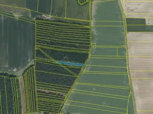 Prodej lesa, Slabčice - Nemějice, 1272 m2