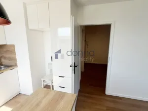 Pronájem bytu 2+kk, Praha, Mezipolí, 48 m2