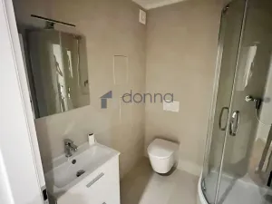 Pronájem bytu 2+kk, Praha, Mezipolí, 48 m2