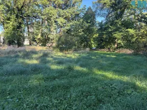 Prodej bytu 2+kk, Býchory, 60 m2