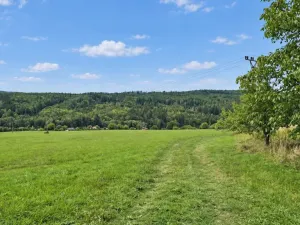 Prodej louky, Nový Jáchymov, 4579 m2