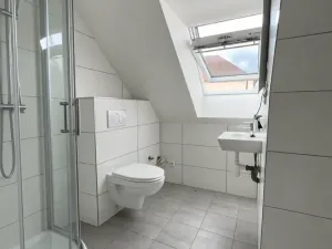 Pronájem bytu 3+kk, Bor, Školní, 55 m2