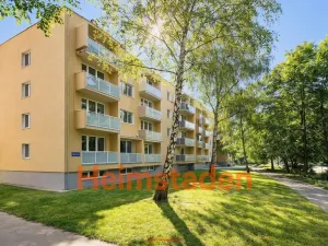 Pronájem bytu 2+1, Ostrava - Mariánské Hory, Přemyslovců, 54 m2