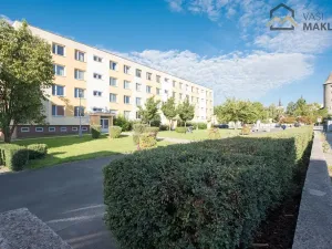 Prodej bytu 3+kk, Čáslav, R. Těsnohlídka, 70 m2