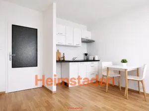 Pronájem bytu 1+kk, Ostrava - Poruba, Francouzská, 28 m2