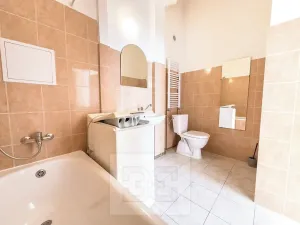 Pronájem bytu 1+1, Praha - Žižkov, Lucemburská, 32 m2
