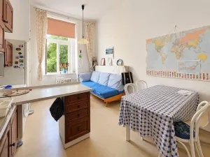 Pronájem bytu 1+1, Praha - Žižkov, Sudoměřská, 18 m2