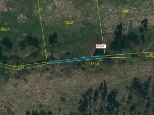 Dražba lesa, Koněšín, 40 m2