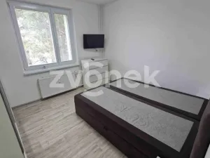 Pronájem bytu 2+1, Staré Město, Kopánky, 55 m2