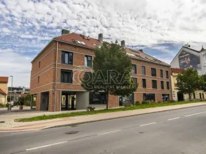 Prodej bytu 3+kk, Praha - Michle, Michelská, 119 m2