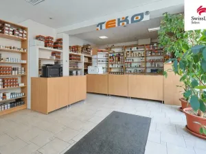 Prodej činžovního domu, Plzeň - Jižní Předměstí, Husova, 418 m2