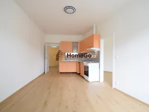 Pronájem bytu 2+kk, Praha - Nusle, Žateckých, 58 m2