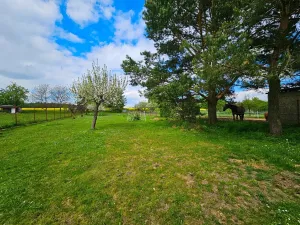 Prodej chalupy, Malinová, 105 m2