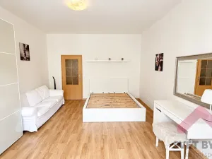 Pronájem bytu 1+kk, Praha - Michle, Brtnická, 30 m2