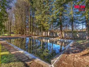 Prodej výrobních prostor, Miletín, Lhotova, 22000 m2