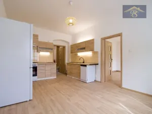 Pronájem bytu 1+1, Ústí nad Labem - Neštěmice, Železná, 57 m2