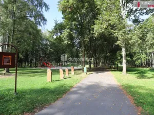 Prodej bytu 1+1, Horní Slavkov, U Lesoparku, 36 m2