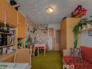 Prodej bytu 3+kk, Praha, Štichova, 56 m2
