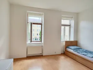 Pronájem bytu 1+kk, České Budějovice - České Budějovice 3, Riegrova, 25 m2