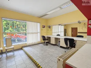 Pronájem obchodního prostoru, Krupka, Poštovní, 38 m2