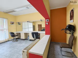 Pronájem obchodního prostoru, Krupka, Poštovní, 38 m2
