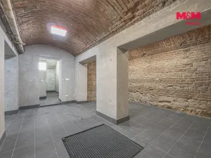 Prodej komerční nemovitosti, Praha, Seifertova, 110 m2