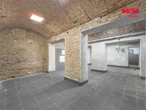 Prodej komerční nemovitosti, Praha, Seifertova, 110 m2