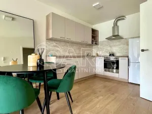 Pronájem bytu 2+kk, České Budějovice - České Budějovice 3, Nová, 73 m2