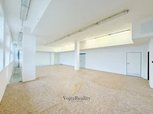 Pronájem obchodního prostoru, Olomouc, Holická, 274 m2