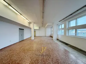 Pronájem obchodního prostoru, Olomouc, Holická, 274 m2