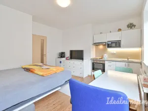 Pronájem bytu 1+kk, Brno, Hostinského, 25 m2