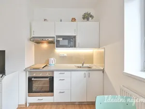 Pronájem bytu 1+kk, Brno, Hostinského, 25 m2