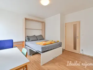 Pronájem bytu 1+kk, Brno, Hostinského, 25 m2