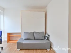 Pronájem bytu 1+kk, Brno, Hostinského, 25 m2