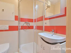 Pronájem bytu 1+kk, Brno, Hostinského, 25 m2
