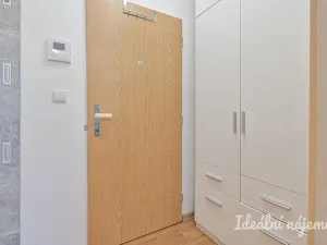 Pronájem bytu 1+kk, Brno, Hostinského, 25 m2