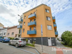 Pronájem bytu 1+kk, Brno, Hostinského, 25 m2