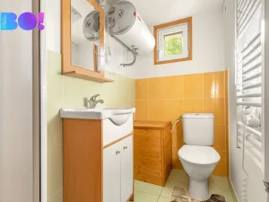 Prodej chaty, Stříbrná Skalice, 55 m2