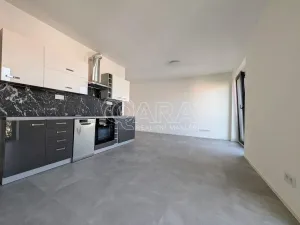 Pronájem bytu 1+kk, Plzeň - Skvrňany, Na Průhonu, 36 m2