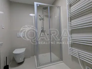 Pronájem bytu 1+kk, Plzeň - Skvrňany, Na Průhonu, 36 m2