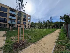 Pronájem bytu 1+kk, Plzeň - Skvrňany, Na Průhonu, 36 m2