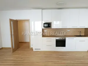 Pronájem bytu 1+kk, České Budějovice - České Budějovice 2, České Vrbné, 40 m2