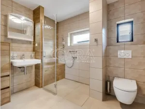 Prodej rodinného domu, Mrač, 307 m2