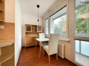 Pronájem bytu 2+1, Teplice - Trnovany, Gagarinova, 56 m2