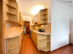 Pronájem bytu 2+1, Teplice - Trnovany, Gagarinova, 56 m2