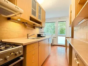 Pronájem bytu 2+1, Teplice - Trnovany, Gagarinova, 56 m2